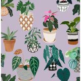 Card - Purple Pots & Plants by Robyn Hammond