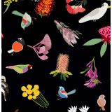 Card - Flora & Fauna by Robyn Hammond