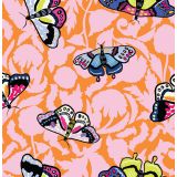 Card - Butterflies by Robyn Hammond