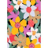 Card - Colourful Daisies by Robyn Hammond