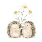 Card - Echidna's Holding Daisies by Sannadorable 