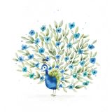 Card - Peacock by Sannadorable 