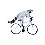 Card - Raccoon on a Bike by Sabina fenn