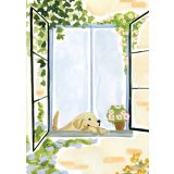 Card - Golden Retreiver Looking Outside by Sabina Fenn