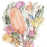Card - Native Australian Flowers & Bird by Shaney Hyde