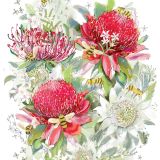 Card - Red Waratah & Bees by Shaney Hyde