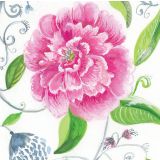 Card - Pink Peony by Shaney Hyde