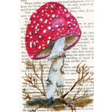 Card - Red Mushroom by Shaney Hyde