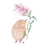 Card - Echidna Holding a Bottlebrush by Shaney Hyde