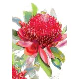 Card - Red Waratah & Bee by Shaney Hyde