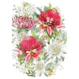 Card - Bees & Waratah by Shaney Hyde