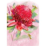 Card -  Waratah on Pink by Shaney Hyde
