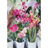 Card - Potted Orchids by Daniela Glassop