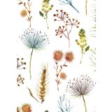 Card - Plants by Subhashini Narayanan