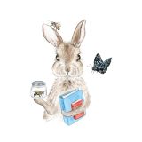 Card - Bunny by Tog & Pini