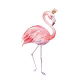 Card - Flamingo by Tog & Pini