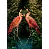 Card - Flamingo Whispers by Catrin