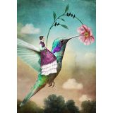 Card - Hummingbird by Catrin