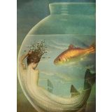 Card - Fishbowl by Catrin