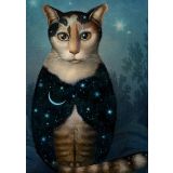 Card - Midnight Cat by Catrin