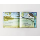 Hardcover Books - Saltie Mumma by Sandra Kendell