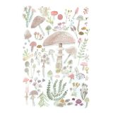 Card - Pastel Mushrooms M by Anna Pignataro