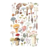 Card - Mushrooms & Leaves M by Anna Pignataro