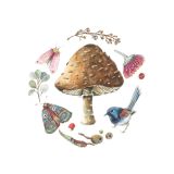 Card - Brown Spotty Mushroom by Anna Pignataro