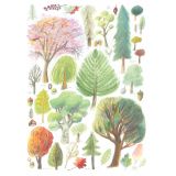 Card - Leaves & Trees by Anna Pignataro