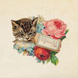 Card - Bella Vintage - 140mm x140mm