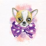 Card - Cute Animals - 100mm x 100mm