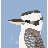 Card - Kookaburra S by Cat MacInnes