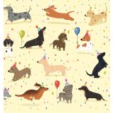 Card - Confetti Dogs by Cat MacInnes