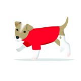 Card - S Jack Russell In Red Jumper by Cat MacInnes 