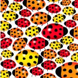 Card - S Love Ladybugs by Cat MacInnes