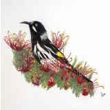 Card - New Holland Honeyeater by Clem Thompson