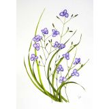Card - Purple Flowers by Clem Thompson
