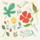 Card - S Cream Florals by Cat MacInnes
