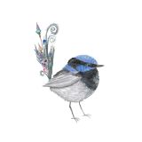 Card - Blue Wren by Chelsea Tobin