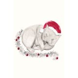 Card - Festive Wombat by Chelsea Tobin