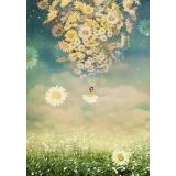 Card - Daisies by Catrin Welz-Stein