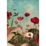 Card - In the Poppy Field by Catrin Welz-Stein