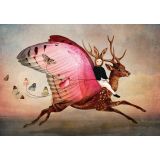 Card - Enjoy the Ride by Catrin Welz-Stein