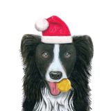 Card - Festive Border Collie by Deb Hudson