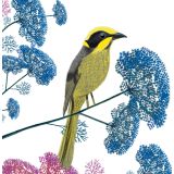 Card - Floral Honeyeater by Deb Hudson