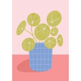 Card - Chinese Money Plant by Melissa Donne