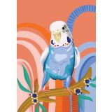 Card - Rainbow Budgie by Emma Whitelaw