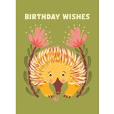 Card - Birthday Wishes Echidna by Emma Whitelaw