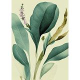 Card - Green Leaves & Purple Flower by Studio Nuovo