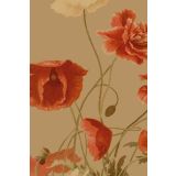 Card - Poppies by Studio Nuovo